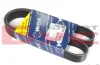 Ремінь генератора Renault Clio III 1.2/BMW 750i/850Ci (7PK1036) 050 007 1036 MEYLE 050-007-1036 (фото 1)