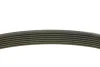 Ремінь генератора Renault Megane/Scenic 1.9dCi/2.0 03-/Nissan Juke 1.6 10- (7PK1125) 050 007 1125 MEYLE 050-007-1125 (фото 2)