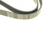 Ремінь генератора Renault Megane/Scenic 1.9dCi/2.0 03-/Nissan Juke 1.6 10- (7PK1125) 050 007 1125 MEYLE 050-007-1125 (фото 3)