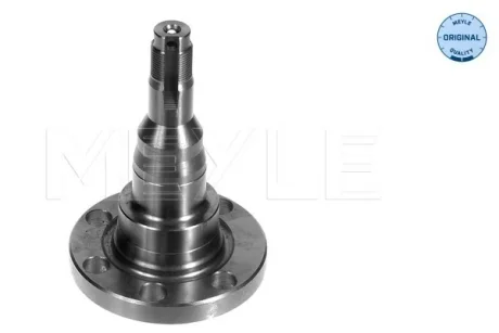 Маточина (поворотний кулак) AUDI 80, SEAT CORDOBA, VW GOLF, PASSAT 73-02 зад. міст (Вир-во) MEYLE 100-501-1010