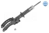 Амортизатор (передній) VW Touareg 02-10 (L) 126 625 0006 MEYLE 126-625-0006 (фото 1)