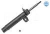 Амортизатор (передній) BMW X1 (E84) 09-15 (L) 326 623 0073 MEYLE 326-623-0073 (фото 1)