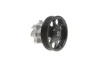 Помпа води Fiat Doblo 1.3JTD/Opel Combo 1.3CDTI 613 220 0002 MEYLE 613-220-0002 (фото 4)