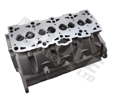 Головка блоку циліндрів VW T5 1.9TDI/Caddy 1.9TDI/2.0SDI 03- MOTIVE CYW805 (фото 1)