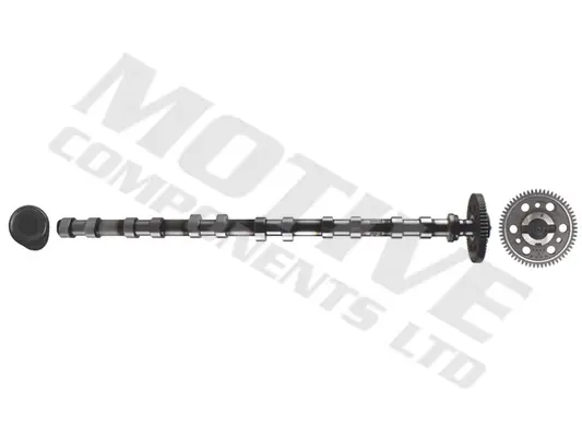 Розподільний вал BMW 3 (E46/E90)/5 (E39/E60)/7 (E38/E65-E67) 98-11 M57 (випуск) MOTIVE T2137 (фото 1)