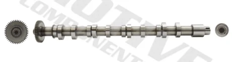 Розподільний вал VW Caddy III/IV/ T5/T6/ Crafter 30-50 2.0 TDI 10- (сторона випуску) MOTIVE T2621