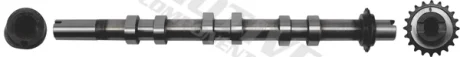 Вал розподільчий Land Rover Defender/Discovery/Range Rover 2.7/3.0D 09- (випускний) MOTIVE T6554