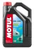 Олива 25W40 Marine Tech 4T (5L) (107716) MOTUL 853151 (фото 1)
