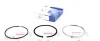 Кільця поршневі Citroen Jumper 3.0HDi 06-/10- (95.80mm/STD)(2.5-2.0-2.5) = 8920070000 120 020 0007 00 NPR 120-020-0007-00 (фото 1)