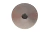 Клапан (випуск) MB Sprinter 2.2CDI (OM651) 06- (24,70x5,96x109,20) = 5710040000 148 010 0004 00 NPR 148-010-0004-00 (фото 3)