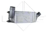 Радіатор інтеркулера Citroen Jumpy/Peugeot Expert 2.0HDi 06- NRF 30242 (фото 1)