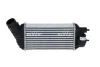 Радіатор інтеркулера Citroen C4/DS4/Peugeot 308/3008 2.0 HDI 07- NRF 30462 (фото 1)