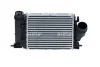 Радіатор інтеркулера Renault Megane IV 1.6 dCi 15- (знято з виробництва) NRF 30984 (фото 1)