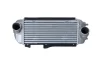 Радіатор інтеркулера Hyundai ix35/Kia Sportage III 2.0D 09- NRF 30989 (фото 1)