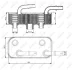 Радіатор масляний BMW 3 (E46)/X3 (E83) 1.6-3.2 98-10 (теплообмінник) (АКПП) NRF 31190 (фото 5)
