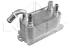 Радіатор масляний Ford Fiesta VI/Kuga II/Mondeo IV 1.6-2.5 09- NRF 31192 (фото 1)