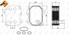 Радіатор масляний Ford Transit 2.2D/2.4D 06- NRF 31212 (фото 5)