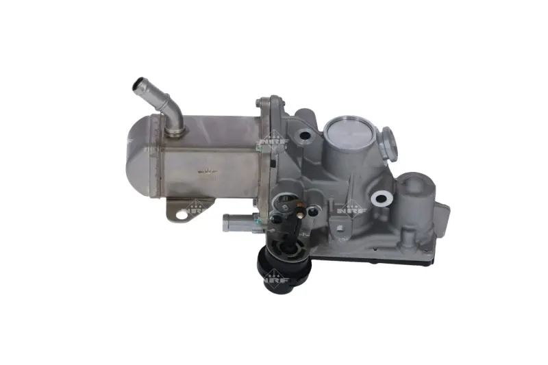 Радіатор рециркуляції ВГ з клапаном EGR Renault Megane III/Scenic III 1.9dCi 08- NRF 48207 (фото 1)