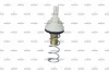 Термостат VW Passat/Touran 1.4 TSI 09-15 (80°C) NRF 725085 (фото 1)