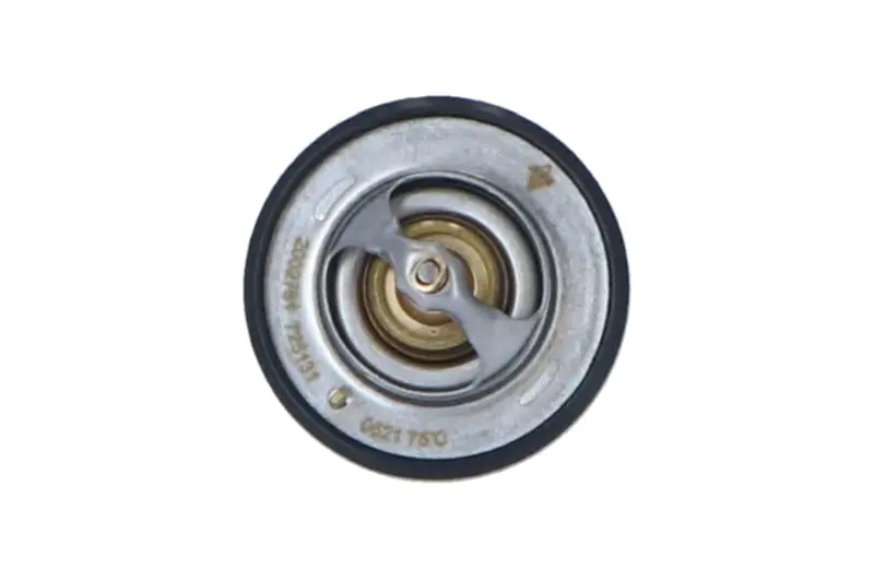 Термостат Nissan Pick Up 2.5D/TD 98-05/Mitsubishi L300 2.5TD 87-04 (76°C) NRF 725131 (фото 1)