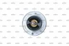 Термостат Honda Accord /Civic 2.2 CDTi 99- (76°C) NRF 725246 (фото 1)