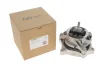 Подушка двигуна (нижня) (R) BMW 3 (F30/F80/F34/F31)/4 (F33/F83/F36) 2.0D N47/B47 11-19 OE GERMANY OE Germany 803256 (фото 1)