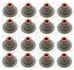 Сальник клапана IN/EX (SET) OPEL Z16XEP (16PCS) (вир-во PAYEN) Payen HR5087 (фото 1)
