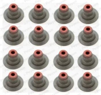 Сальник клапана IN/EX (SET) OPEL Z16XEP (16PCS) (вир-во PAYEN) Payen HR5087