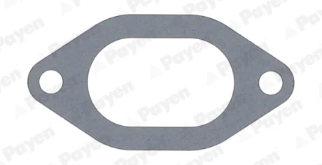 Прокладка колектора IN FIAT 8140.63/8140.07/S8U (4) (вир-во PAYEN) Payen JC054