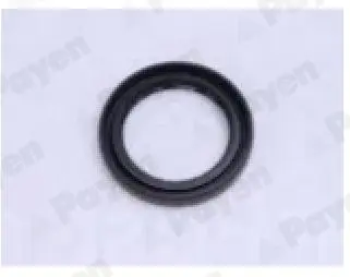 Сальник маточини TOYOTA 35X48X7 (вир-во PAYEN) Payen NJ743 (фото 1)