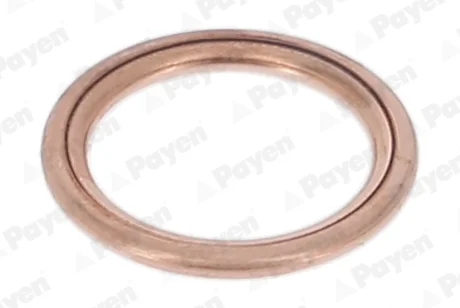 Прокладка зливної горловини двигуна 16X22X2 (вир-во PAYEN) Payen PA349