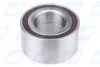 Підшипник маточини (передньої/задньої) VW Touareg 02-10 (+ABS) (51x96x50) PFI PW51960050CSM (фото 1)