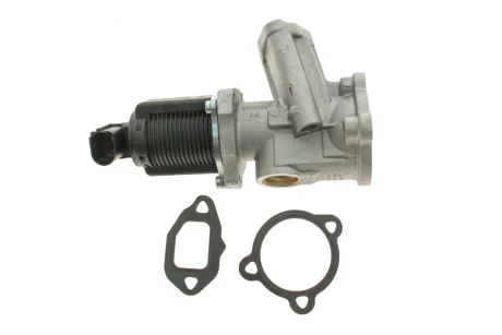 Клапан EGR Fiat Doblo 1.3JTD 05- 7.00020.24.0 PIERBURG 7-00020-24-0