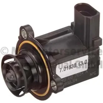 Клапан EGR VOLKSWAGEN, SKODA, SEAT, AUDI (вир-во Pierburg) PIERBURG 7-01830-13-0