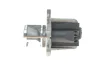 Клапан EGR Renault Kangoo/Megane III/Scenic III 1.5 dCi 08- 7.03435.05.0 PIERBURG 7-03435-05-0 (фото 4)