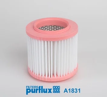 Фільтр повітряний Audi A8 5.2/6.0 03-10 PURFLUX Purflux A1831