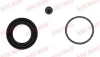 Ремкомплект супорта (заднього) Opel Antara/Chevrolet Capiva 06- (d=40mm) QUICK BRAKE 114-0166 (фото 1)