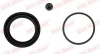 Ремкомплект супорта (переднього) Renault 19/Clio/Rapid 86-98 (d=48mm) QUICK BRAKE 114-0219 (фото 1)