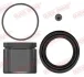 Ремкомплект супорта (переднього) BMW 5 (F10/F11/F18) 10- (d=60mm) (+поршень) QUICK BRAKE 114-5166 (фото 1)