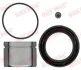 Ремкомплект супорта (переднього) Citroen Jumpy III/Peuget Expert 16- (d=66mm) (+ поршень) QUICK BRAKE 114-5272 (фото 1)