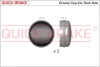 Кришка підшипника маточини (заднього) Fiat Ducato/Citroen Jumper 82-02 (d=62mm) (К-кт 2 шт) QUICK BRAKE 9821K (фото 1)
