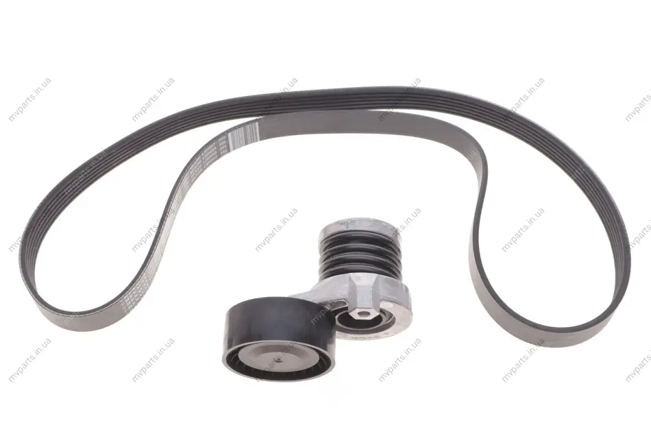 Комплект ременя генератора Renault Kangoo 1.5dCi 09- (6PK1197) RENAULT 117202495R (фото 1)
