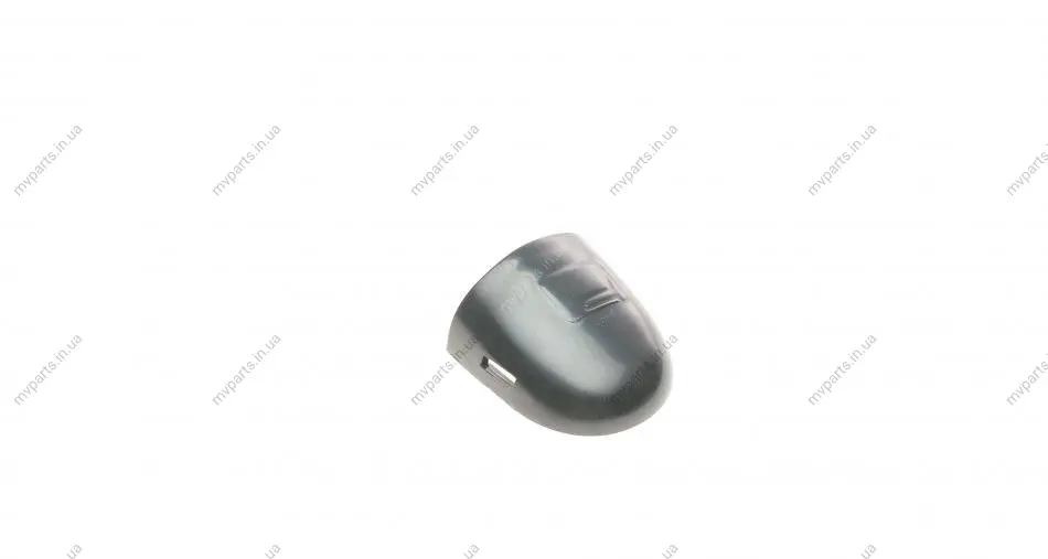Заглушка ручки дверей (L) Renault Laguna/Megane/Scenic 03-09 (чорна) ROTWEISS RWS1970 (фото 1)