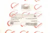 Патрубок інтеркулера BMW 3 (E90) 05-11 M57 ROTWEISS RWS2703 (фото 5)