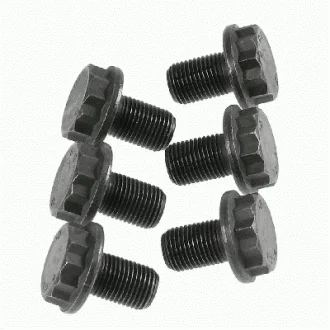 Болти маховика (к-кт 6 шт) Audi A4/A5/A6/A7/Q5/Porsche Macan 1.8-3.6 07- 1874 000 033 SACHS 1874-000-033