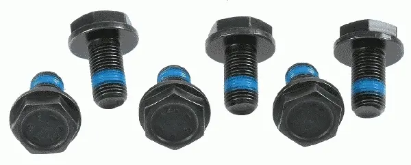 Болти маховика VAG 76- (6шт) (Вир-во) SACHS 3096-005-000 (фото 1)
