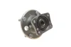 Підшипник маточини (задньої) Ford Fiesta 08-17 (к-кт) (+ABS) VKBA 6654 SKF VKBA-6654 (фото 2)