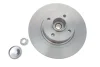 Диск гальмівний (задній) Renault Scenic II/Megane II 03-10 (270х10) (+ABS) (з підшипником) VKBD 1014 SKF VKBD-1014 (фото 1)