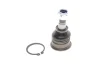 Опора кульова (передня/знизу) Nissan Almera 00-06 VKDS 812005 SKF VKDS-812005 (фото 1)