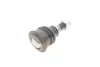 Опора кульова (передня/знизу) Nissan Almera 00-06 VKDS 812005 SKF VKDS-812005 (фото 2)